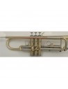 VSM TP300 Tromba Sib