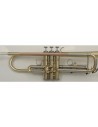 VSM TP300 Tromba Sib