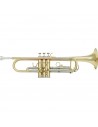 VSM TP300 Tromba Sib