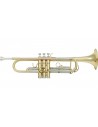 VSM TP300 Tromba Sib