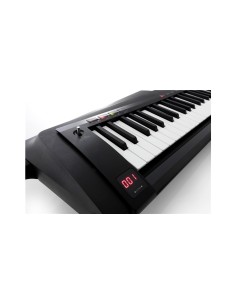 RK-100S2-BLK