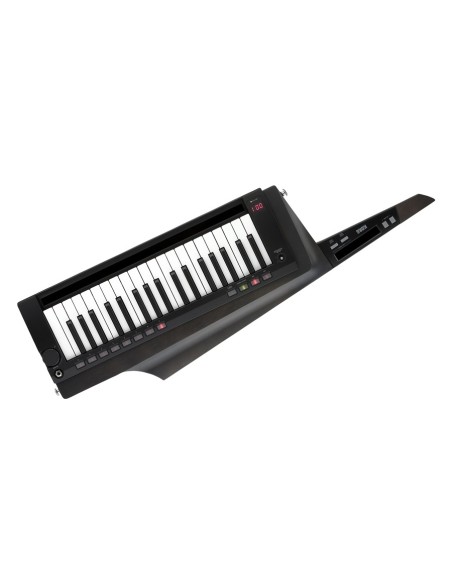 RK-100S2-BLK