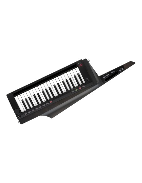 RK-100S2-BLK
