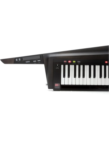 RK-100S2-BLK