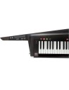 RK-100S2-BLK