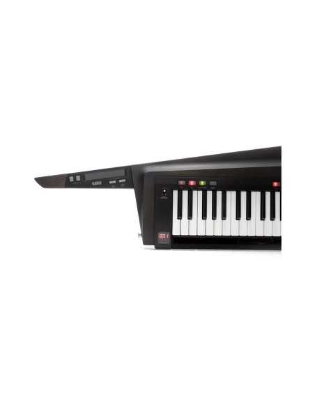 RK-100S2-BLK