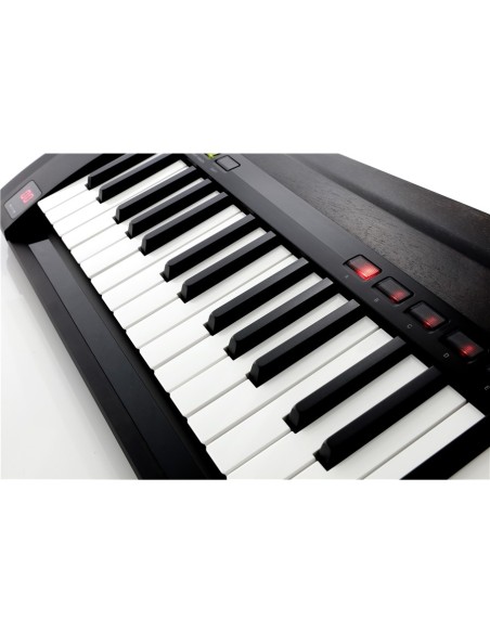 RK-100S2-BLK