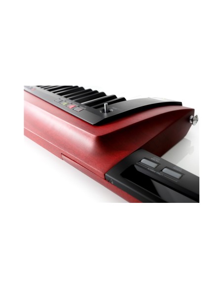 RK-100S2-RD