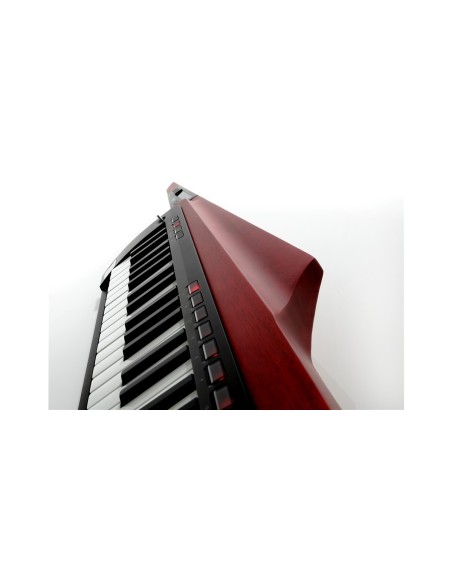RK-100S2-RD