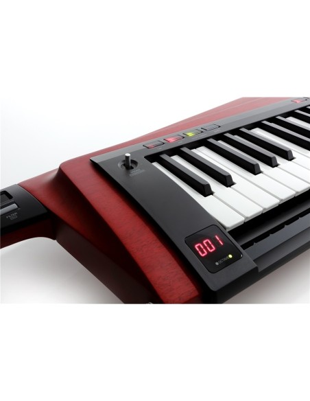 RK-100S2-RD