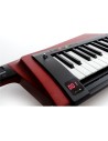 RK-100S2-RD