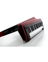 RK-100S2-RD