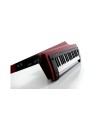 RK-100S2-RD