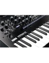 minilogue xd - Sintetizador analógico polifónico