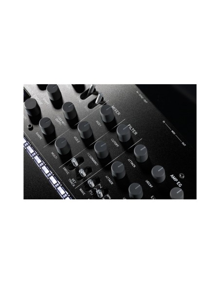 minilogue xd - Sintetizzatore Analogico Polifonico