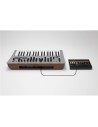 minilogue - Sintetizzatore Analogico Polifonico