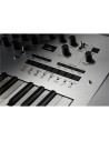 minilogue - Sintetizzatore Analogico Polifonico