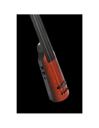 NXTa Omni Bass 4 Sunburst