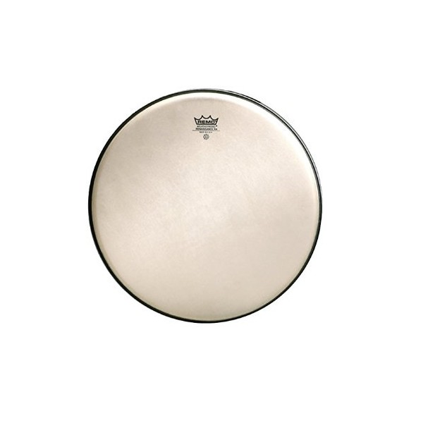 Remo RA-0012-SS Reinassance Ambassador 12