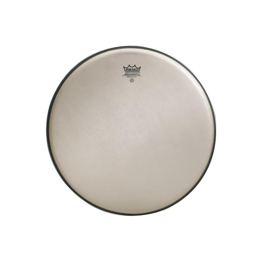 Remo RE-0008-SS Reinassance Ambassador 8