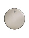 Remo RE-0012-SS Reinassance Ambassador 12
