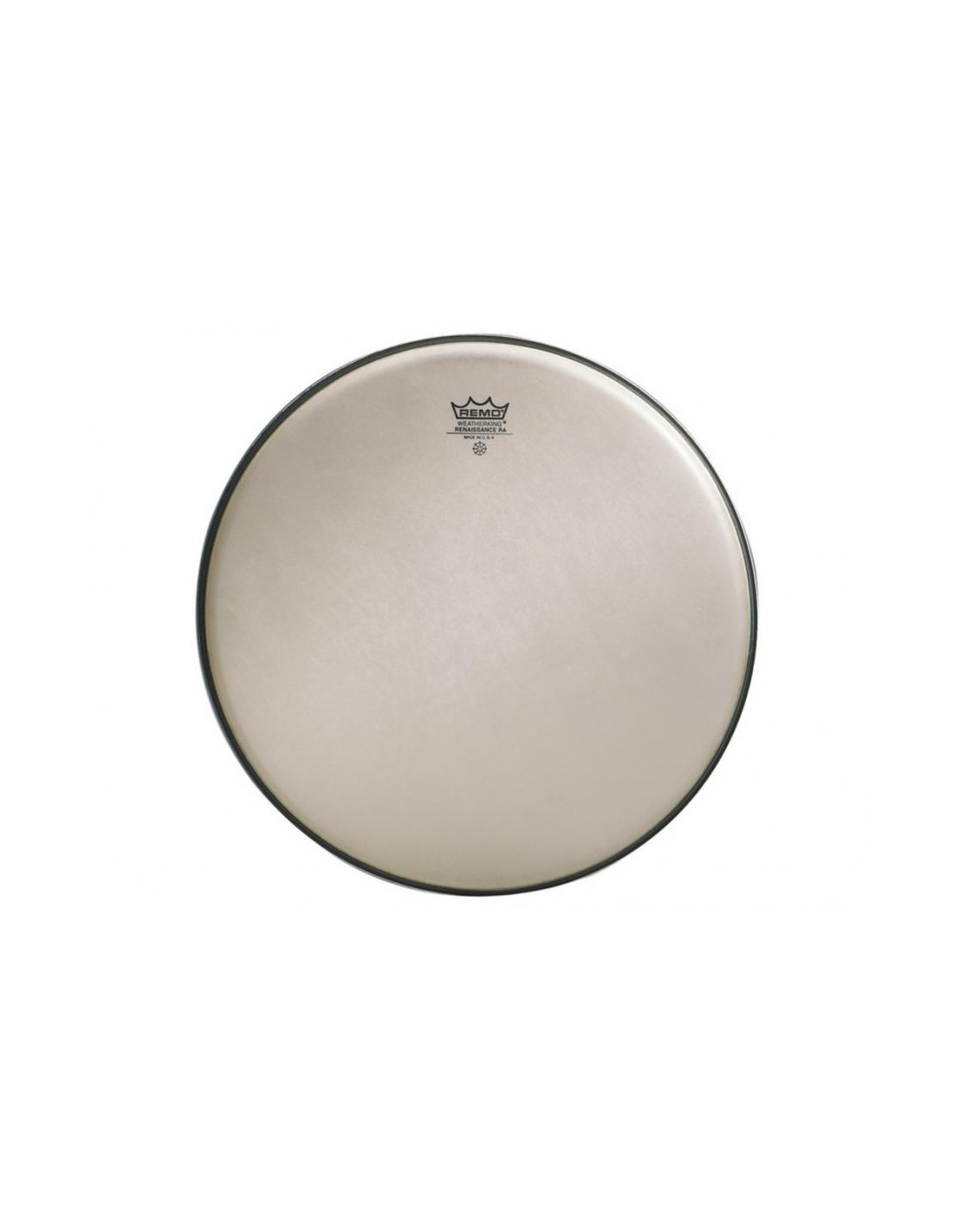 Remo RE-0013-SS Reinassance Ambassador 13