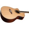 NXT A100ce LH Natural