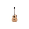 NXT A100ce LH Natural