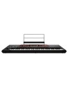 Pa700 ODER