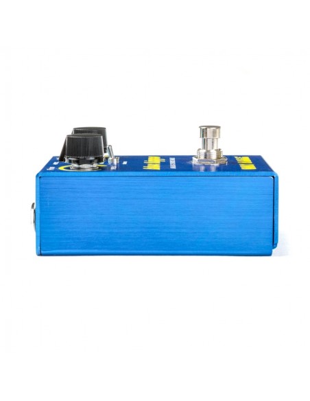 WM61 Smalls Blue Hippo Chœur analogique