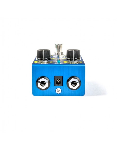 Coro analógico WM61 Smalls Blue Hippo