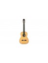 Vibra 500 Mario Gangi
