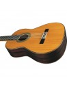 Vibra 500 Mario Gangi