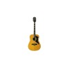 Ranger VI VR Eq Natural Top Stained