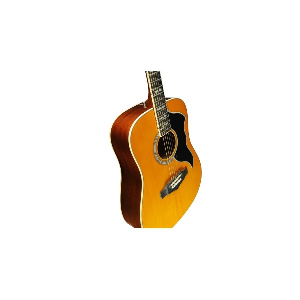 Ranger VI VR Eq Naturel Top Stained