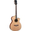 NXT A100ce Natural