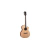 NXT A100ce Natural