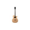 NXT A100ce Natural