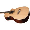 NXT A100ce Natural