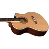 NXT A100ce Natural