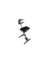 DX/749 Stool with Backrest and Footrest