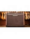 Loudbox Mini Charge PRO-LBC-500
