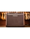 Loudbox Mini Charge PRO-LBC-500