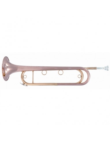 VSM FTPC91-R Tromba da cavalleria...