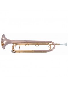 VSM FTPC91-R Tromba da... 2