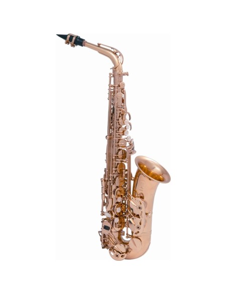 VSM T620-II Sax 600 Tenore