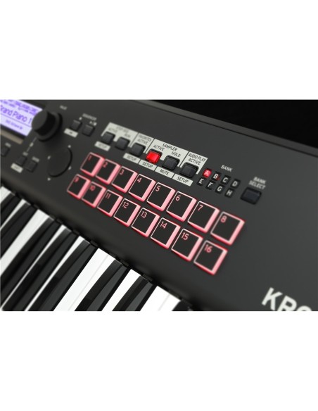 KROSS 2-61 (Super Matte Black)