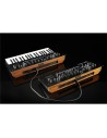 minilogue xd module - Analog Synthesizer