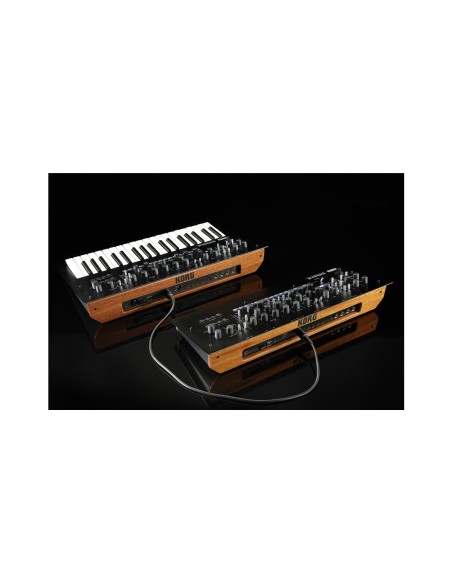 minilogue xd module - Analogsynthesizer