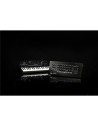 Módulo minilogue xd: sintetizador analógico